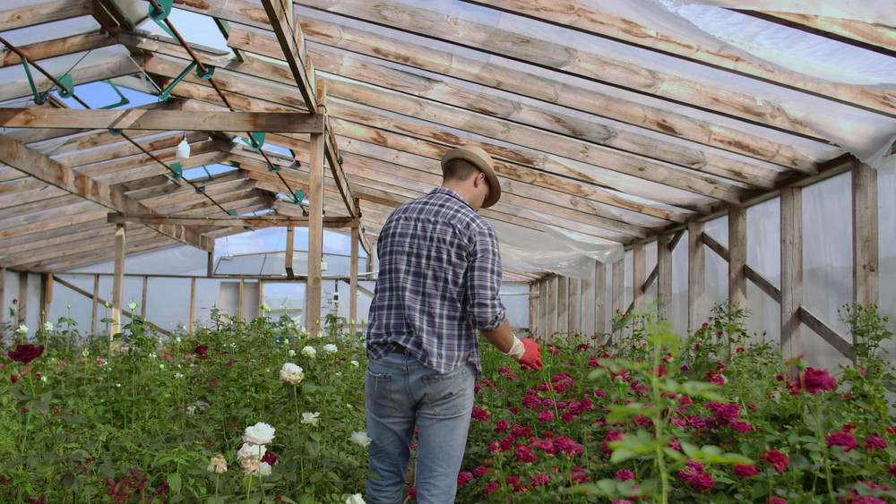 greenhouse builder