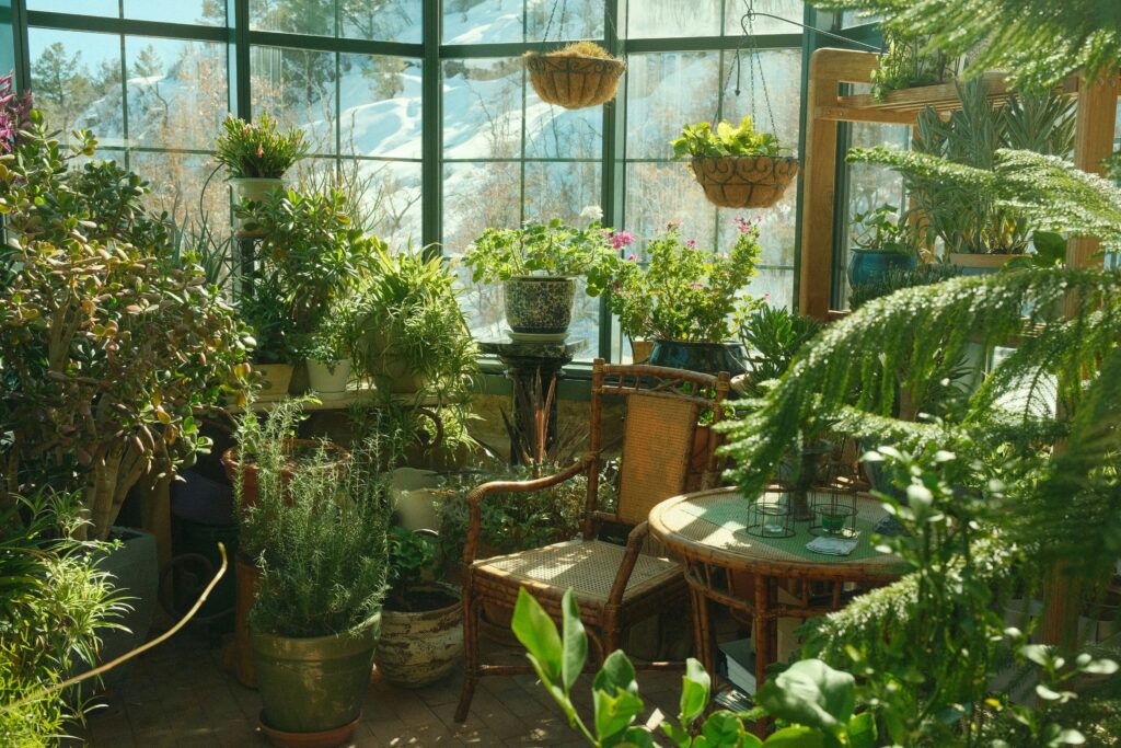 Hobby Greenhouse