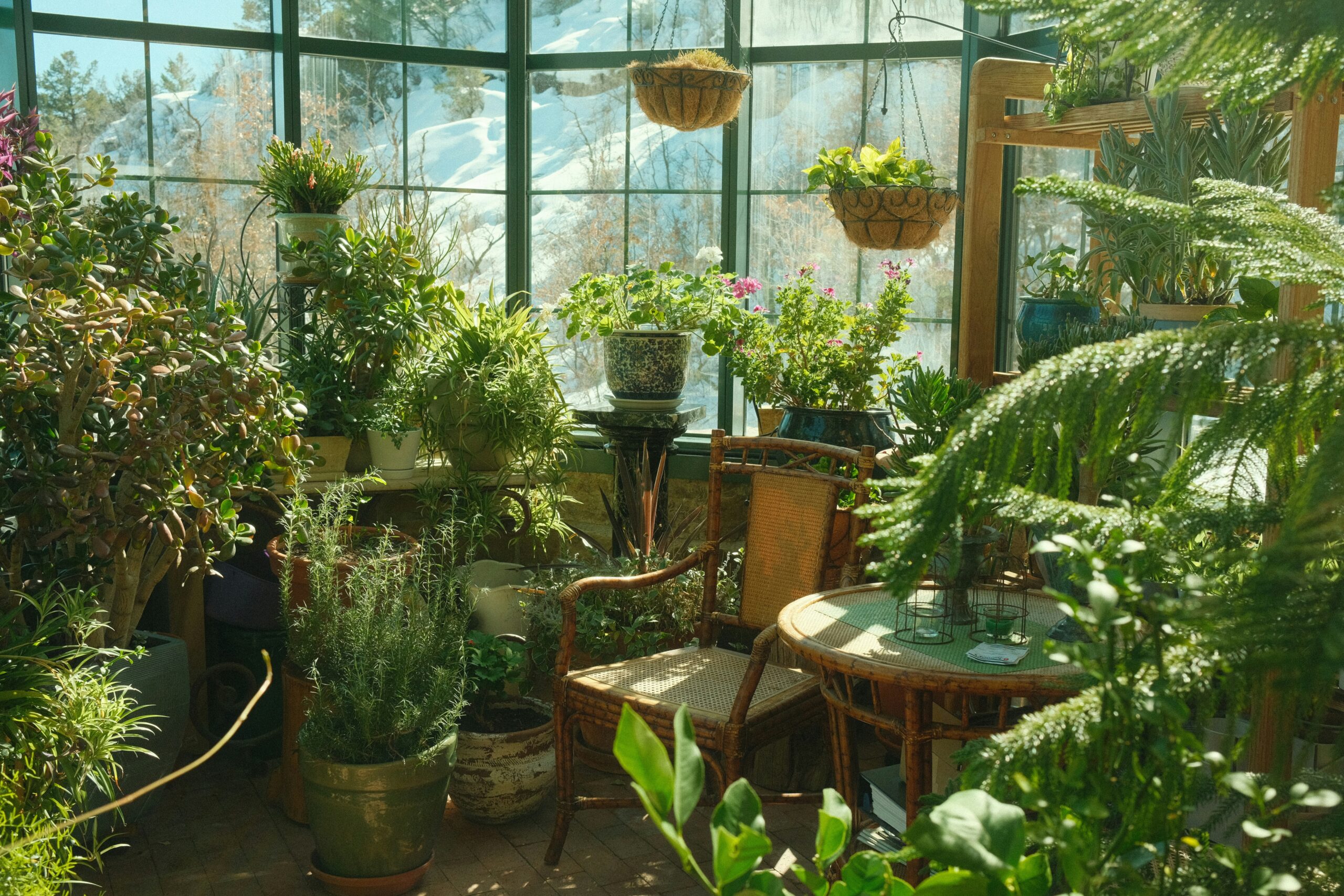 Hobby Greenhouse